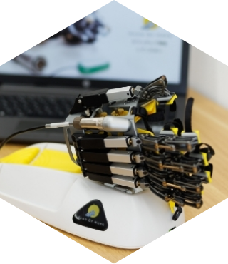 利用者が手を使用してリハビリをし、スタッフが付き添っている様子